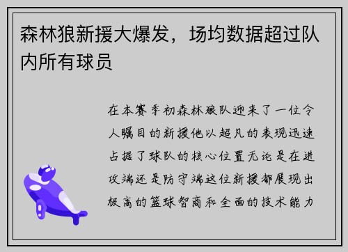 森林狼新援大爆发，场均数据超过队内所有球员